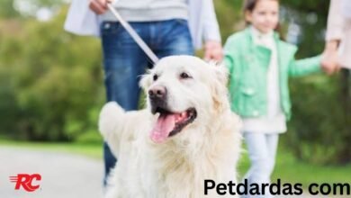 Petdardas com