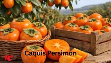 Caquis Persimon